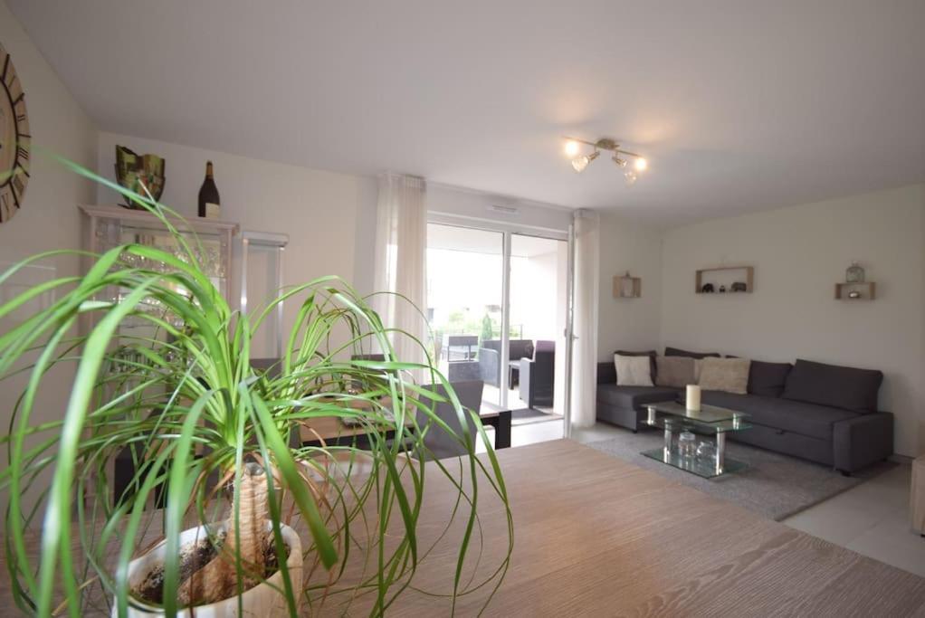 Appartement Sélestat Exteriör bild